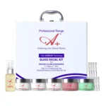a+ korean facial kit
